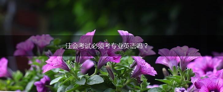 注会考试必须考专业英语吗？,第1张