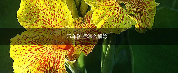 汽车防盗怎么解除,第1张