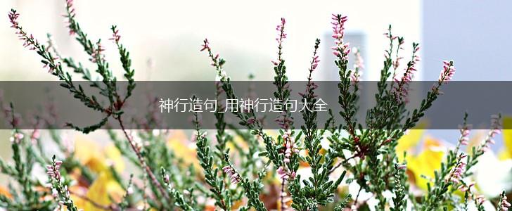 神行造句_用神行造句大全,第1张