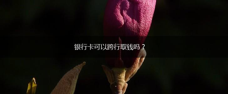 银行卡可以跨行取钱吗？,第1张