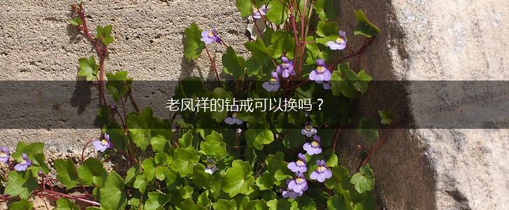 老凤祥的钻戒可以换吗？,第1张