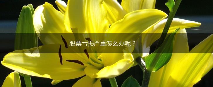股票亏损严重怎么办呢？,第1张