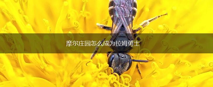 摩尔庄园怎么成为拉姆勇士,第1张