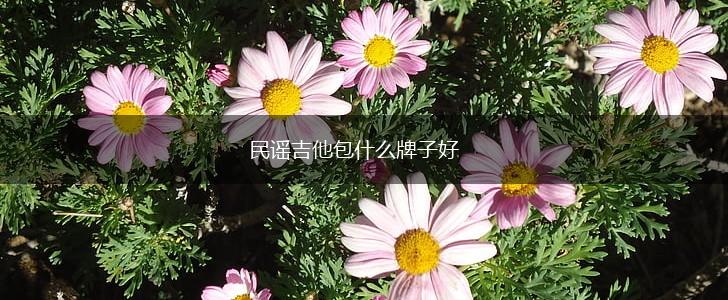 民谣吉他包什么牌子好,第1张