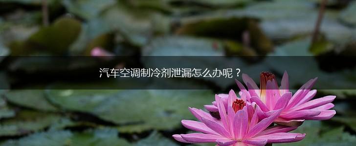 汽车空调制冷剂泄漏怎么办呢？,第1张