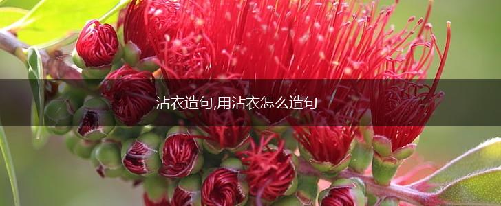 沾衣造句,用沾衣怎么造句,第1张