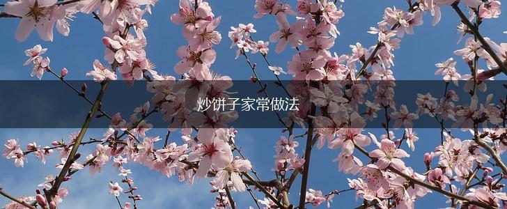 炒饼子家常做法,第1张