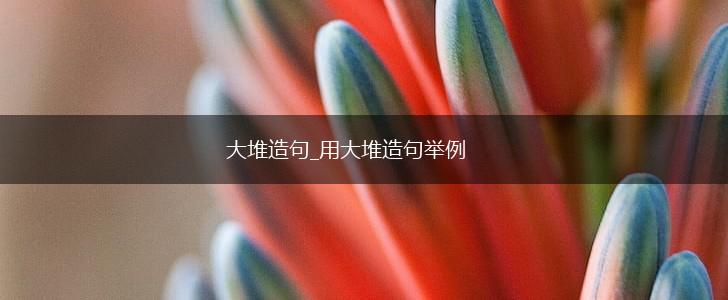 大堆造句_用大堆造句举例,第1张