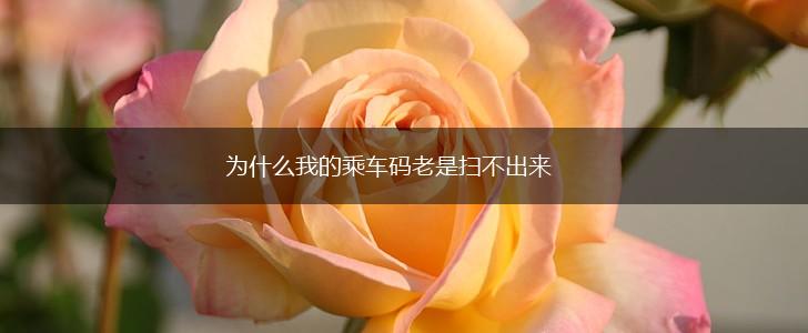 为什么我的乘车码老是扫不出来,第1张