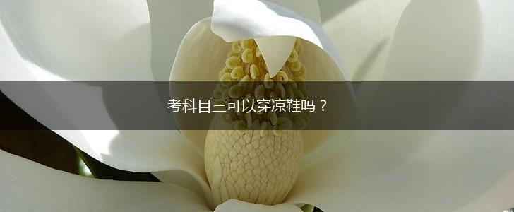 考科目三可以穿凉鞋吗？,第1张