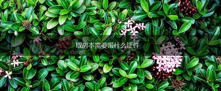 取房本需要带什么证件,第1张
