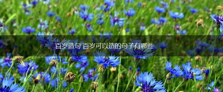百岁造句 百岁可以造的句子有哪些,第1张