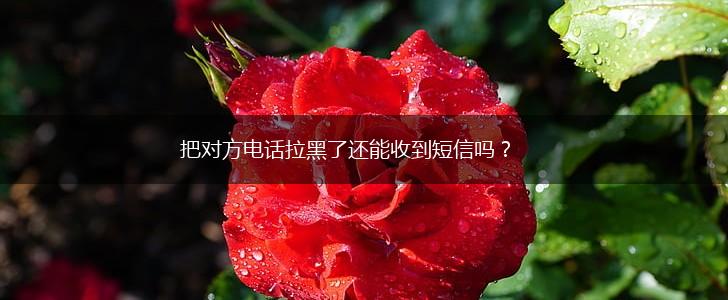 把对方电话拉黑了还能收到短信吗？,第1张