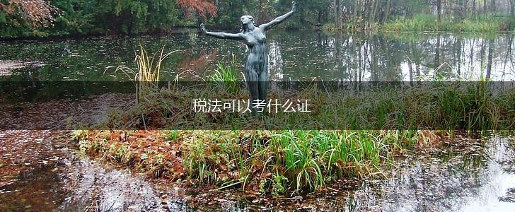 税法可以考什么证,第1张