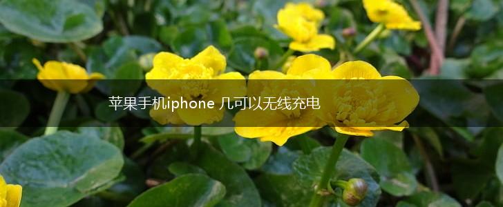 苹果手机iphone 几可以无线充电,第1张