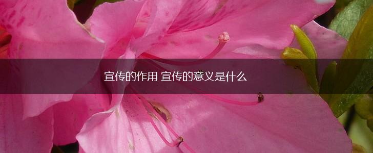 宣传的作用 宣传的意义是什么,第1张