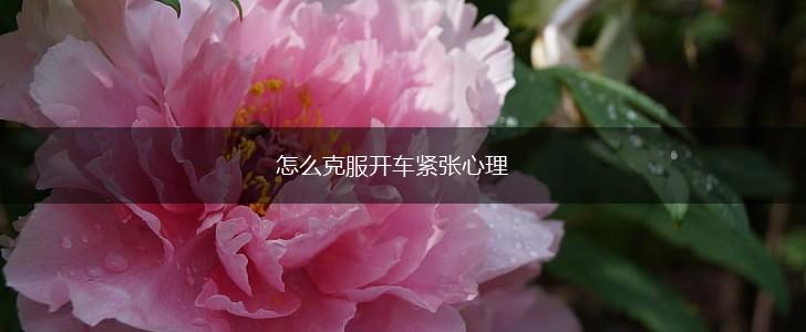 怎么克服开车紧张心理,第1张