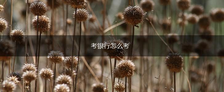 考银行怎么考,第1张