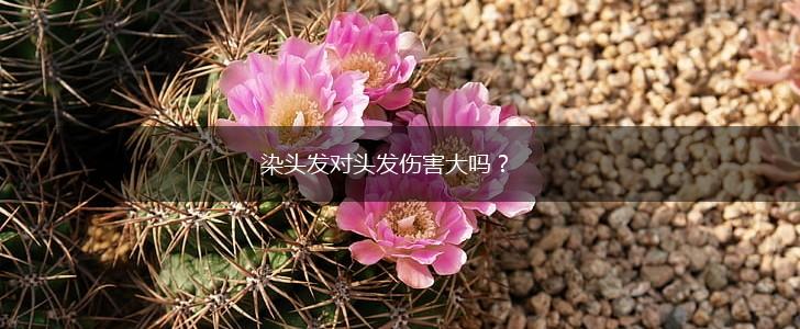 染头发对头发伤害大吗？,第1张