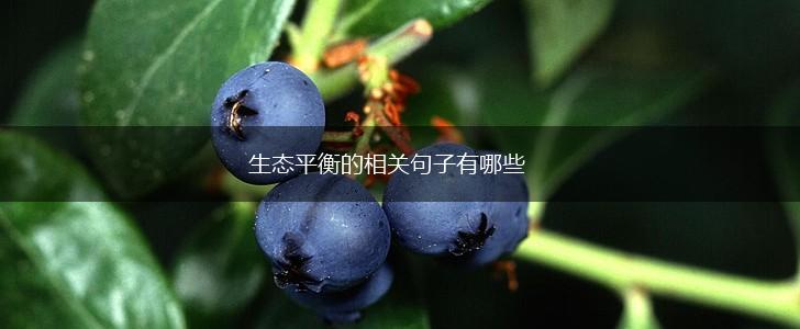 生态平衡的相关句子有哪些,第1张