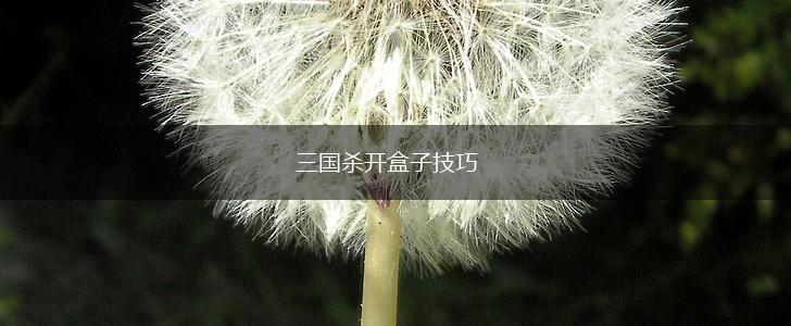 三国杀开盒子技巧,第1张