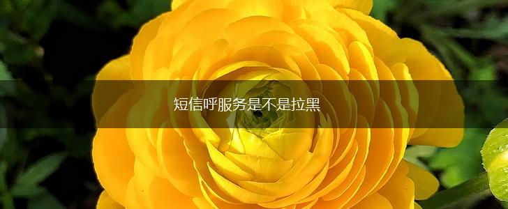 短信呼服务是不是拉黑,第1张