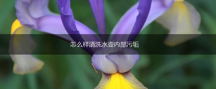 怎么样清洗水壶内部污垢,第1张