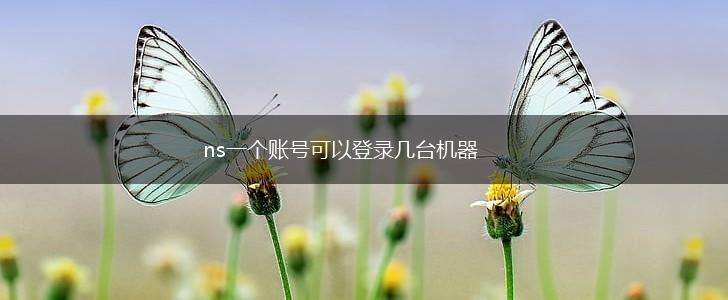 ns一个账号可以登录几台机器,第1张