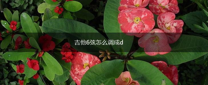吉他6弦怎么调成d,第1张