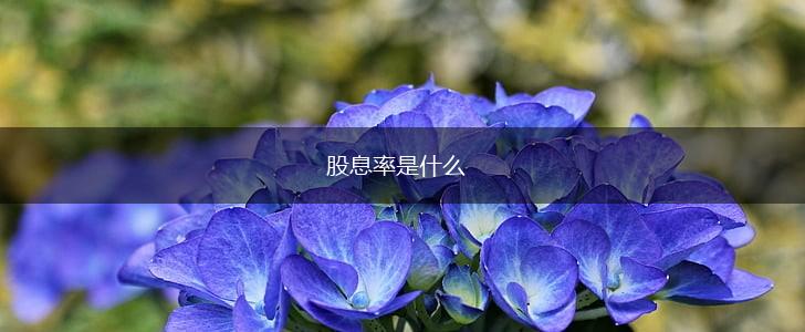 股息率是什么,第1张