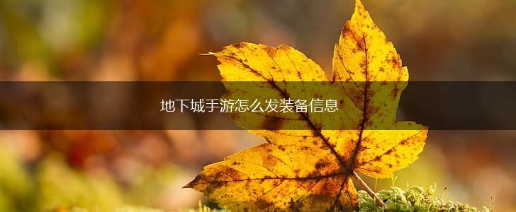 地下城手游怎么发装备信息,第1张