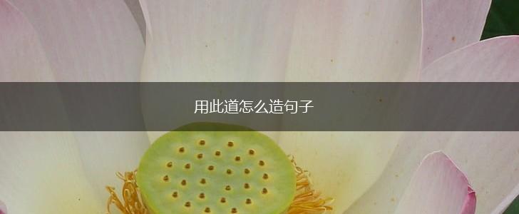 用此道怎么造句子,第1张