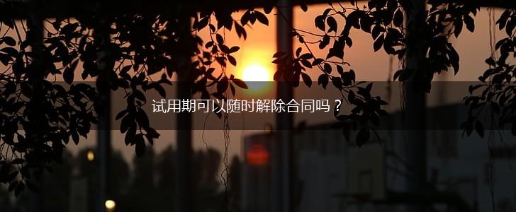 试用期可以随时解除合同吗？,第1张