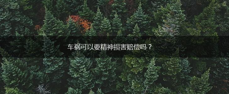 车祸可以要精神损害赔偿吗？,第1张