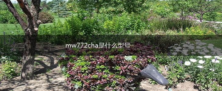 mw772cha是什么型号,第1张