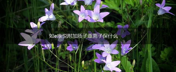如e康悦附加质子重离子保什么,第1张