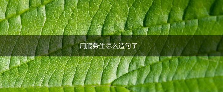 用服务生怎么造句子,第1张
