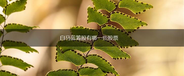白马蓝筹股有哪一些股票,第1张