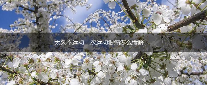 太久不运动一次运动很痛怎么缓解,第1张
