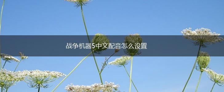 战争机器5中文配音怎么设置,第1张
