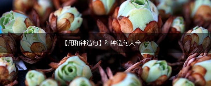 【用和钟造句】和钟造句大全,第1张