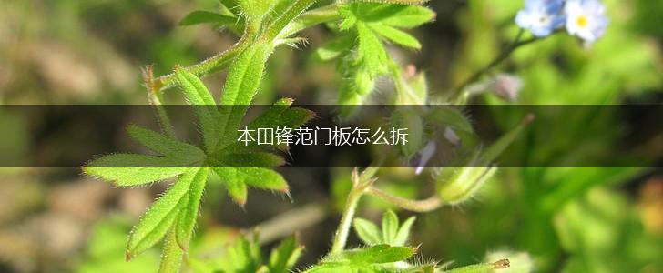 本田锋范门板怎么拆,第1张