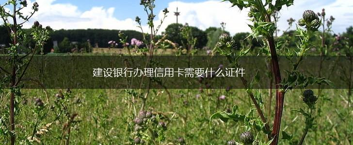 建设银行办理信用卡需要什么证件,第1张