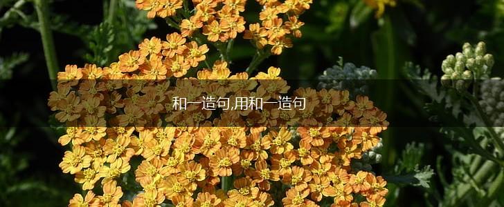 和一造句,用和一造句,第1张