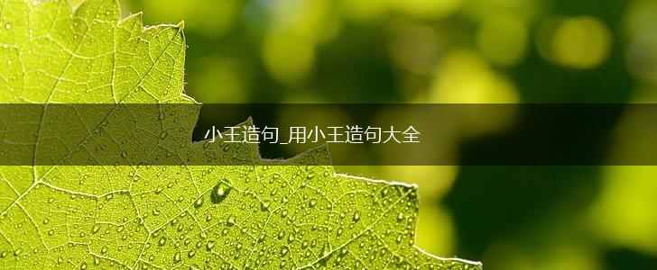 小王造句_用小王造句大全,第1张
