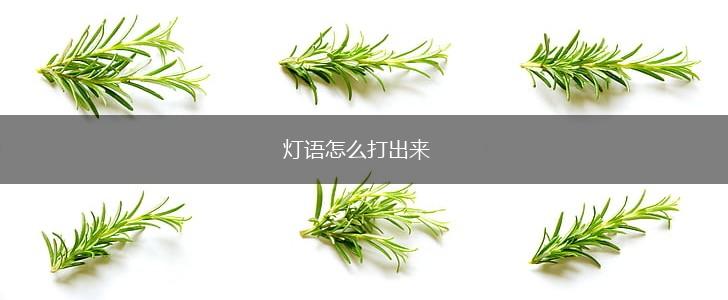 灯语怎么打出来,第1张