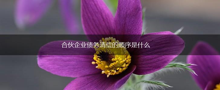 合伙企业债务清偿的顺序是什么,第1张