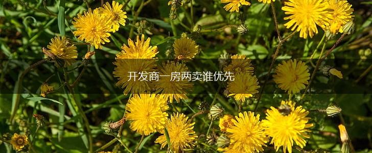 开发商一房两卖谁优先,第1张