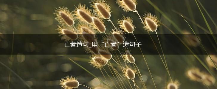 亡者造句_用“亡者”造句子,第1张