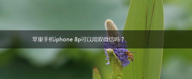 苹果手机iphone 8p可以用双微信吗？,第1张
